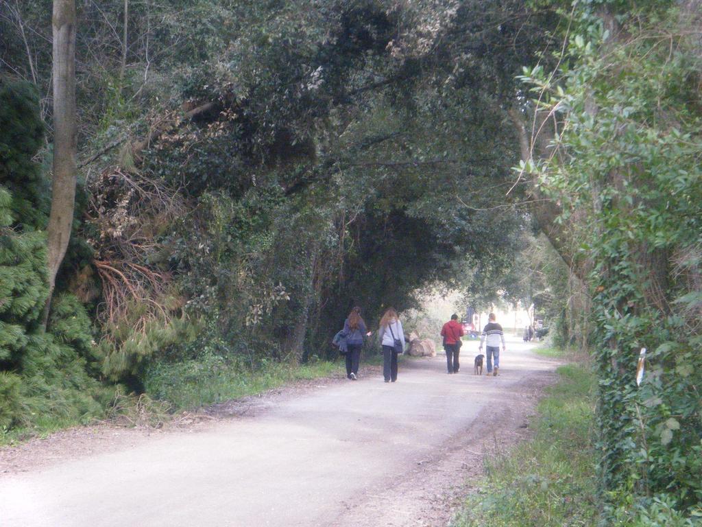 Vacanze A וירג'יו חדר תמונה